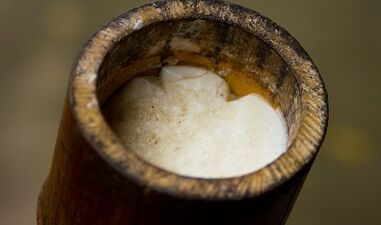 Tea tree oil for warts