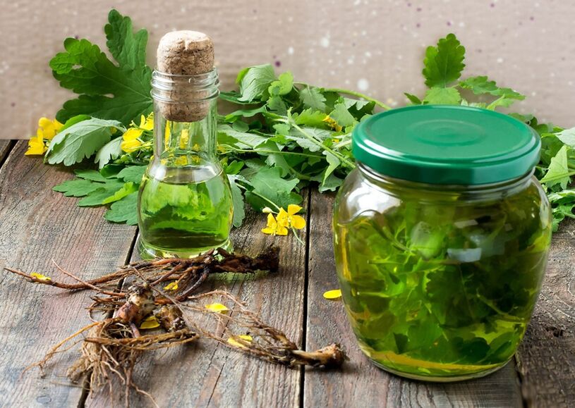 Chelidonium infusion against papilloma